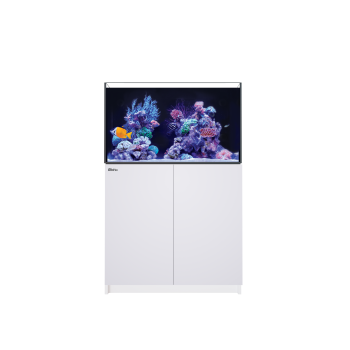 Reefer 250 G3